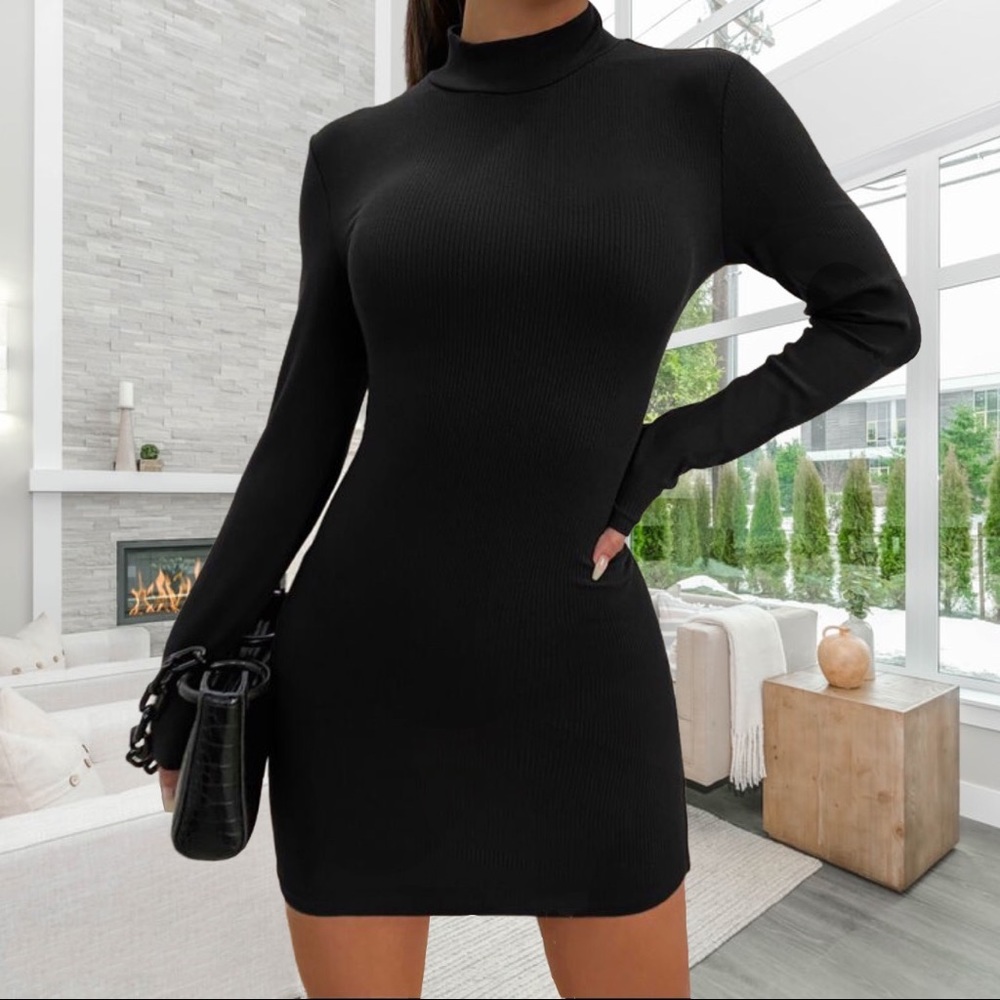 AMERICAN APPAREL Black Bodycon turtleneck dress